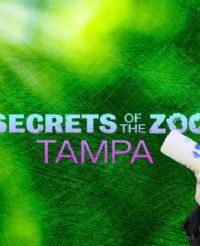 ����԰������̹������ļ�