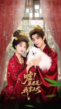 �걩����������Ȯ